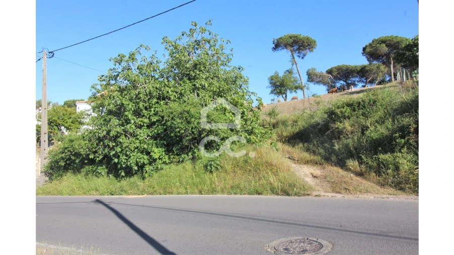 Terreno para Venda em Sesimbra (Castelo) Foto 9