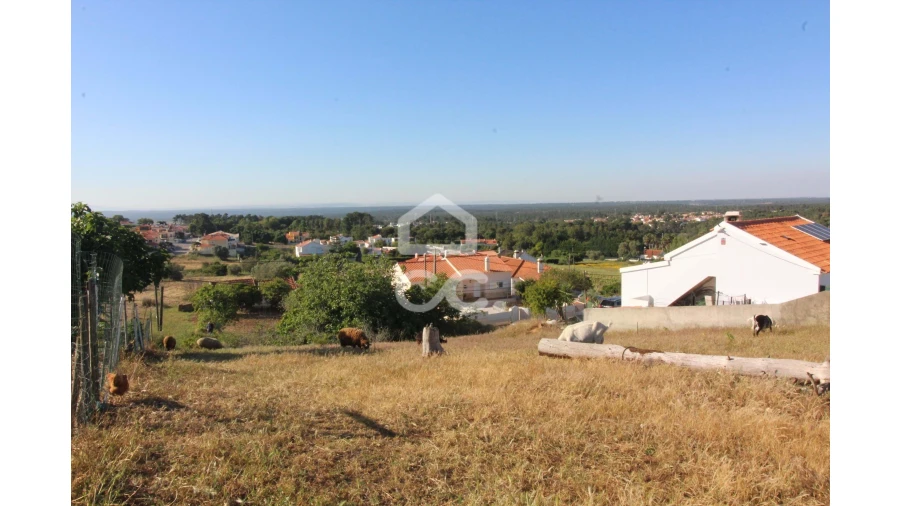 Terreno para Venda em Sesimbra (Castelo) Foto 4