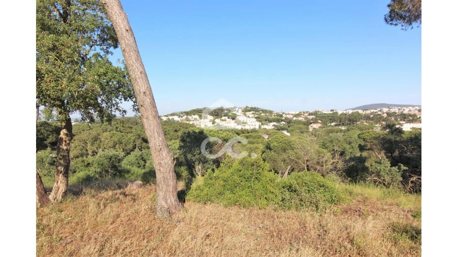 Terreno para Venda em Sesimbra (Castelo) Foto 3