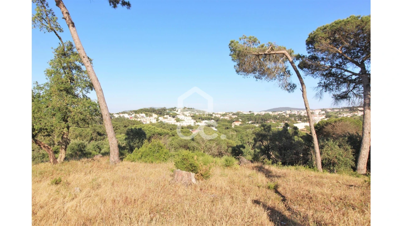 Terreno para Venda em Sesimbra (Castelo) Foto 6