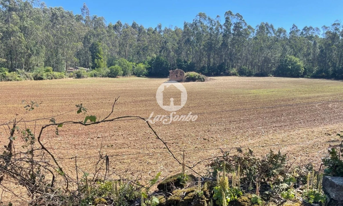 Terreno Agricola ou Rústico para Venda em Balazar Foto 1