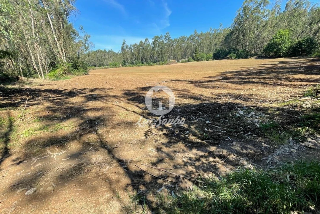 Terreno Agricola ou Rústico para Venda em Balazar Foto 2
