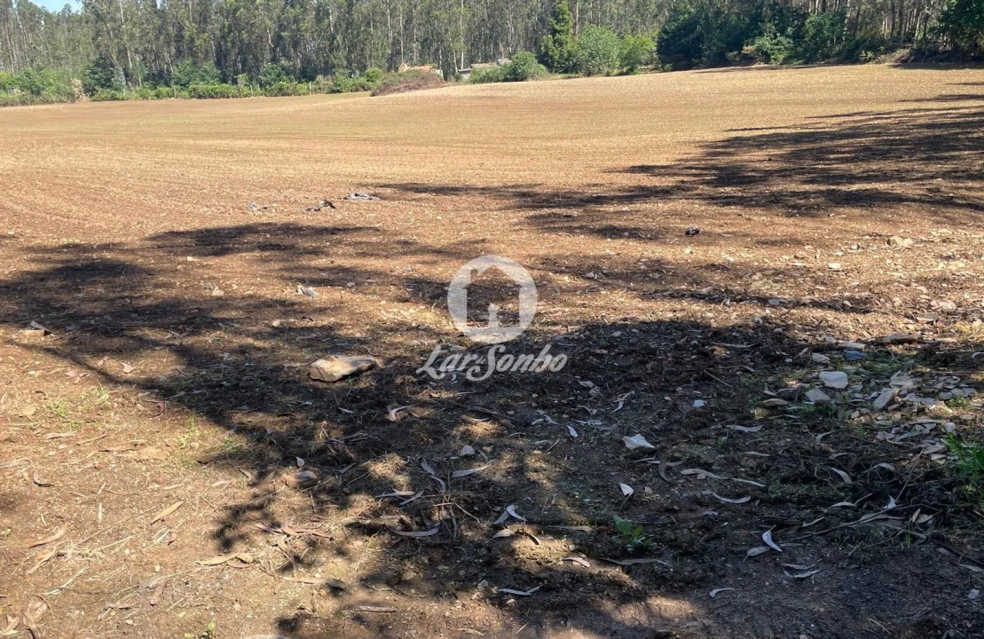 Terreno Agricola ou Rústico para Venda em Balazar Foto 3