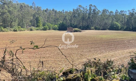 Terreno Agricola ou Rústico para Venda em Balazar