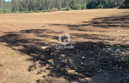 Terreno Agricola ou Rústico para Venda em Balazar