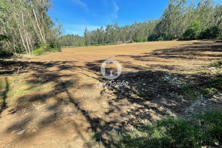Terreno Agricola ou Rústico para Venda em Balazar Foto 2