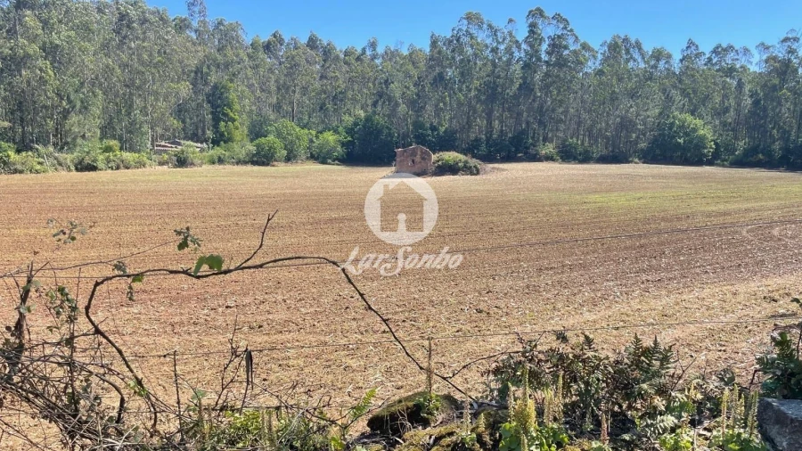 Terreno Agricola ou Rústico para Venda em Balazar