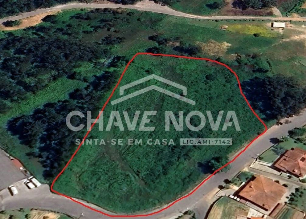 Terreno P/ Prédio para Venda em Cervães Foto 4