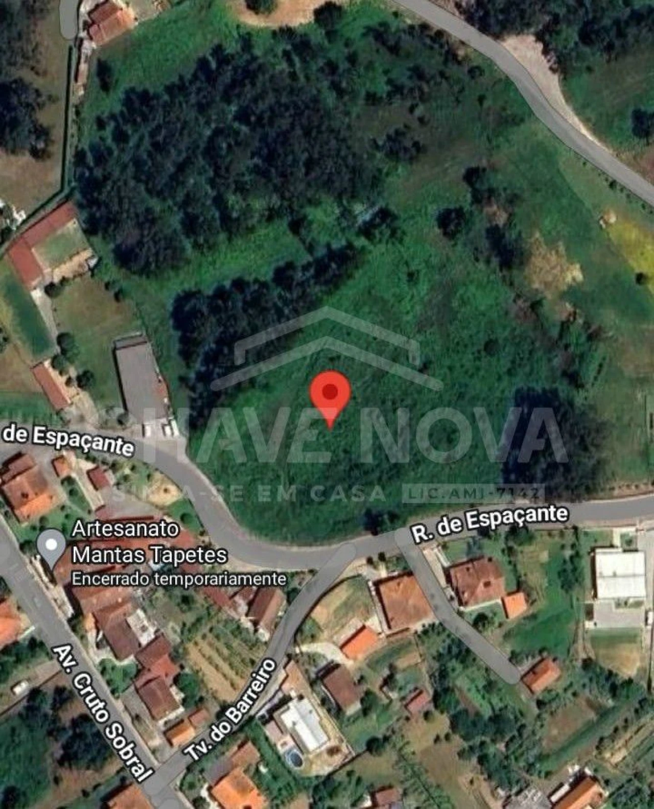 Terreno P/ Prédio para Venda em Cervães Foto 5