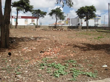 Terreno para Venda em Rio de Mouro