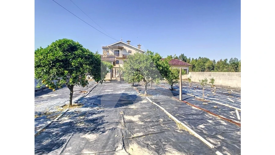 Moradia T5 para Venda em Ovar, São João, Arada e São Vicente de Pereira Jusã Foto 4