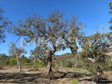 Moradia T2 para Venda em Aljezur