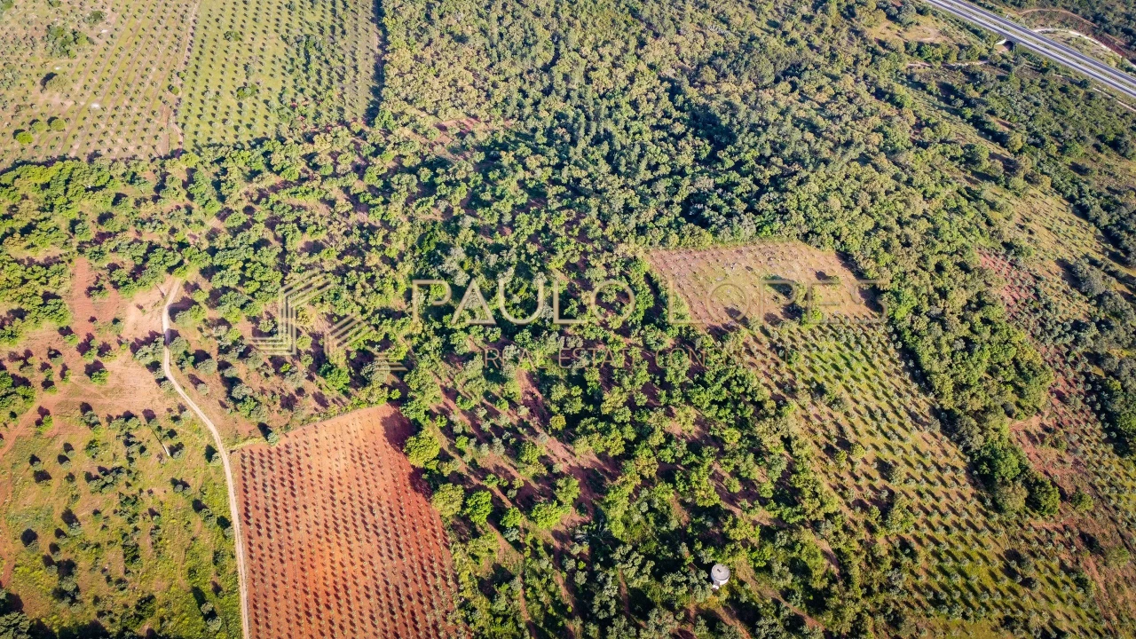 Quinta T15 para Venda em Evora Monte (Santa Maria) Foto 17