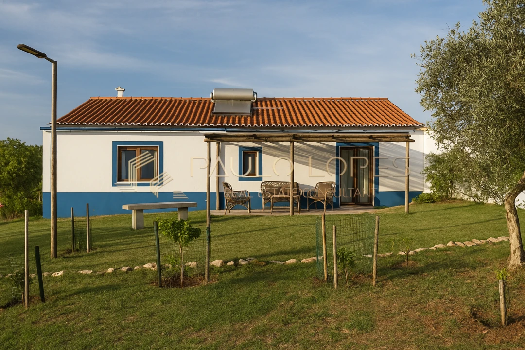 Quinta T15 para Venda em Evora Monte (Santa Maria) Foto 4