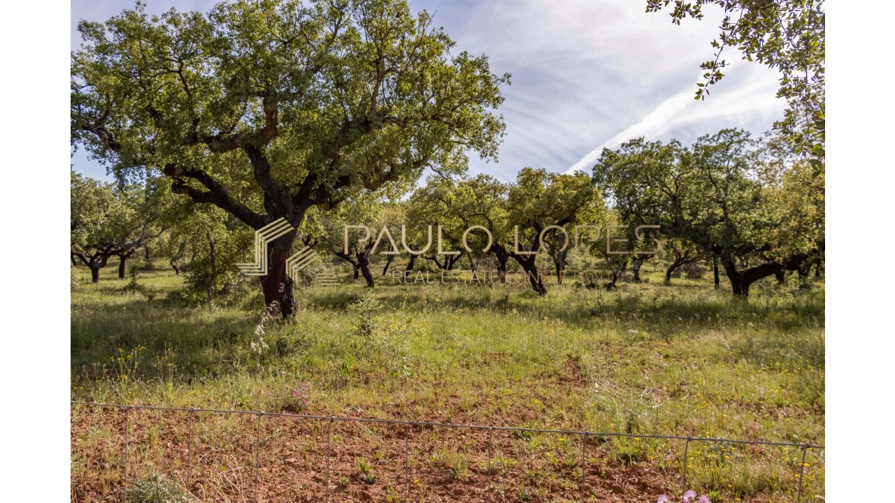 Quinta T15 para Venda em Evora Monte (Santa Maria) Foto 21