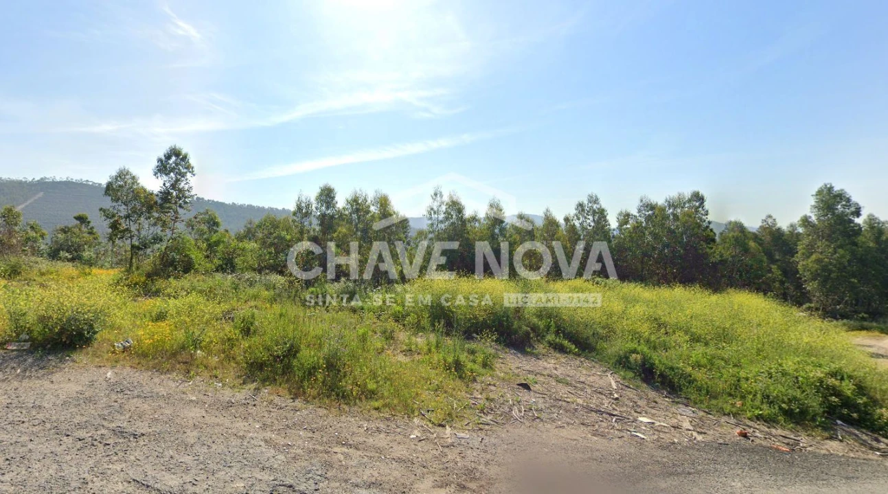 Terreno Agricola ou Rústico para Venda em Fânzeres e São Pedro da Cova Foto 1