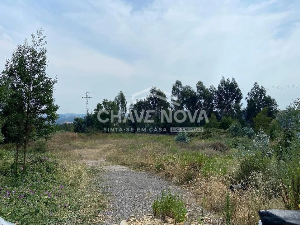 Terreno Agricola ou Rústico para Venda em Fânzeres e São Pedro da Cova Foto 2