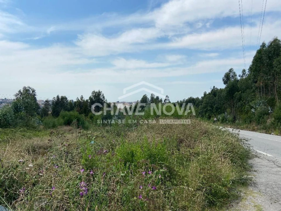 Terreno Agricola ou Rústico para Venda em Fânzeres e São Pedro da Cova Foto 3