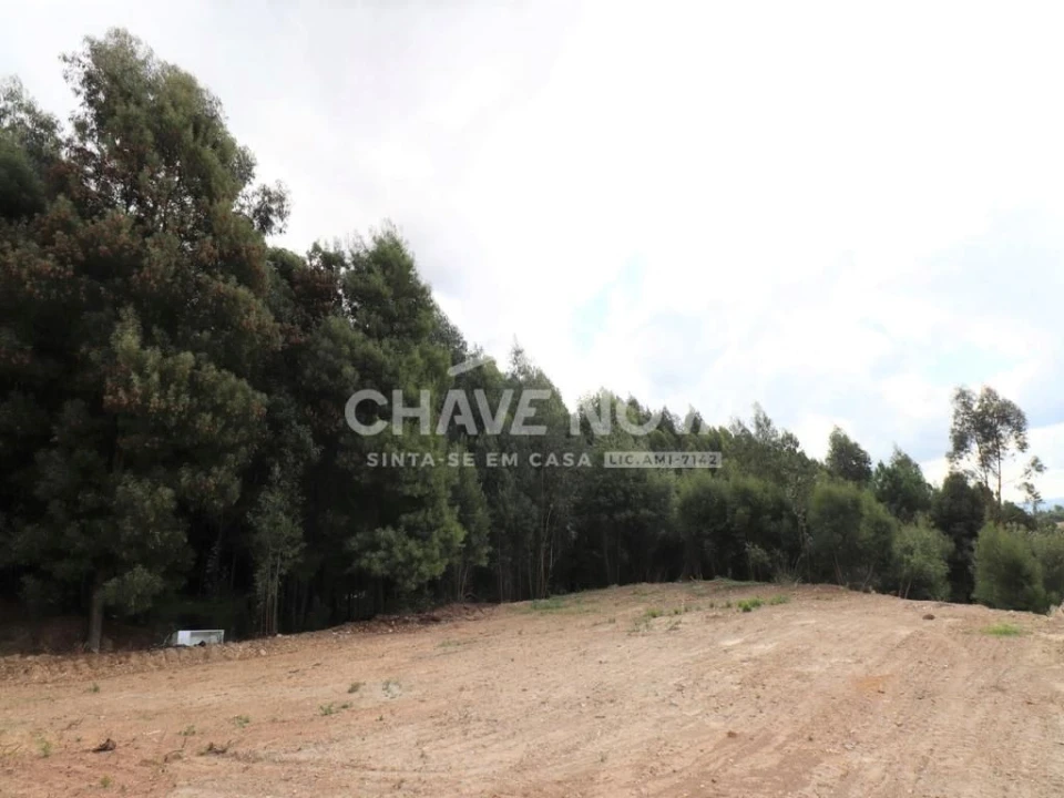 Terreno Agricola ou Rústico para Venda em Fânzeres e São Pedro da Cova Foto 4