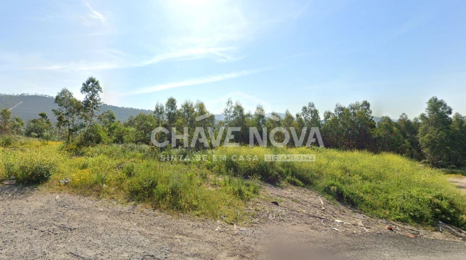 Terreno Agricola ou Rústico para Venda em Fânzeres e São Pedro da Cova Foto 1
