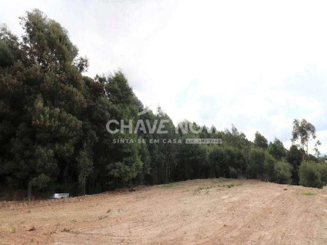 Terreno Agricola ou Rústico para Venda em Fânzeres e São Pedro da Cova Foto 4