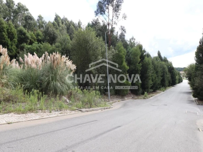 Terreno Agricola ou Rústico para Venda em Fânzeres e São Pedro da Cova Foto 5