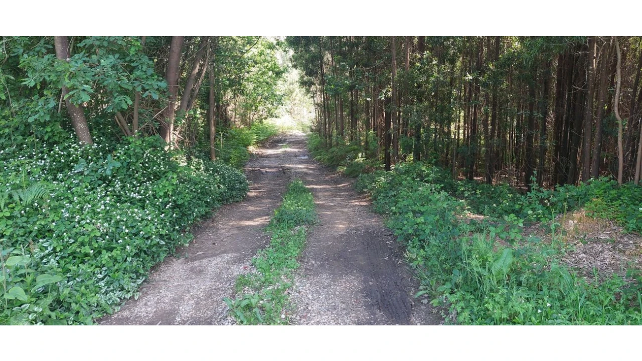 Terreno para Venda em Pedroso e Seixezelo Foto 7