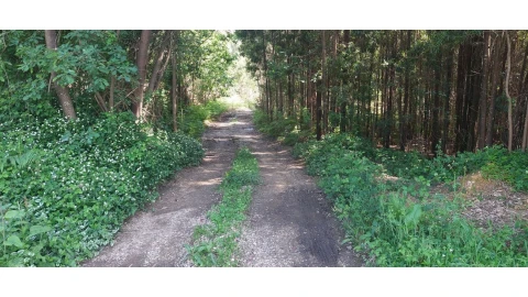 Terreno para Venda em Pedroso e Seixezelo