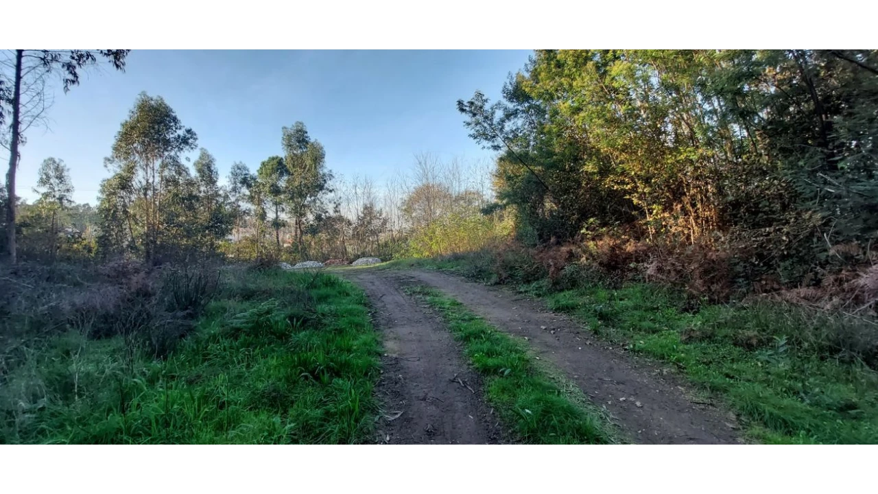 Terreno para Venda em Pedroso e Seixezelo Foto 9