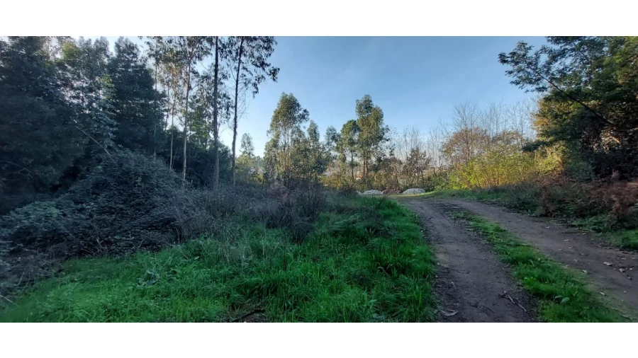 Terreno para Venda em Pedroso e Seixezelo Foto 8