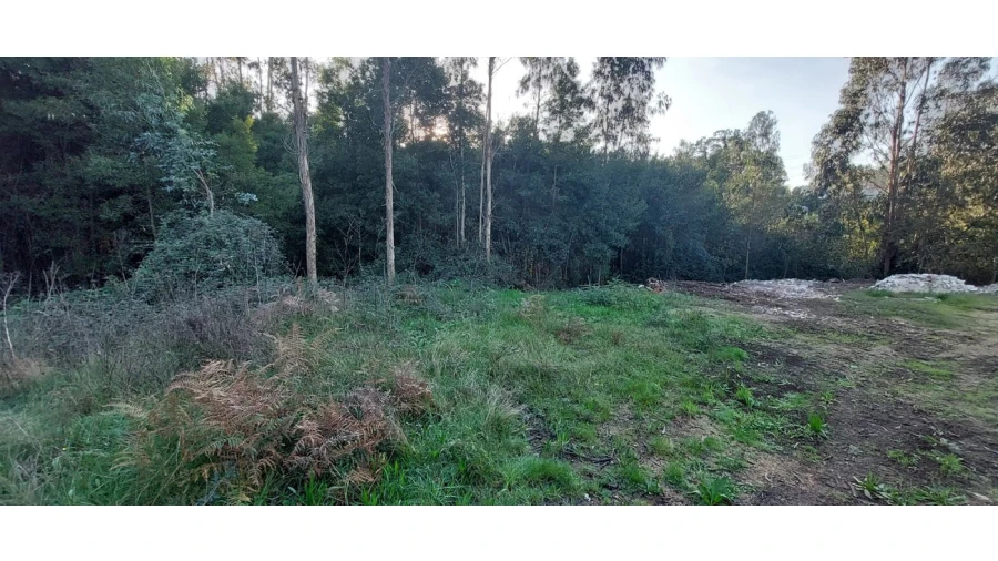 Terreno para Venda em Pedroso e Seixezelo Foto 11