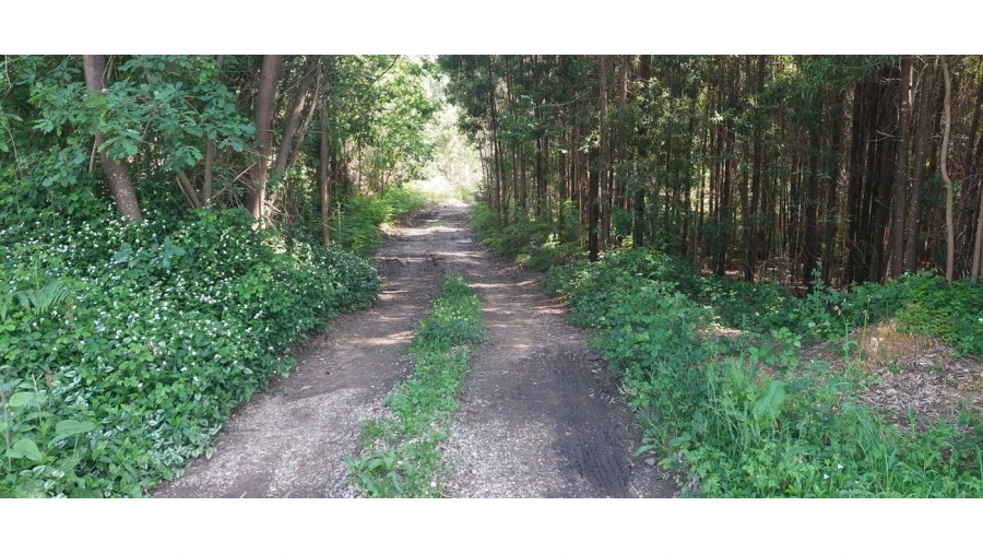 Terreno para Venda em Pedroso e Seixezelo Foto 7