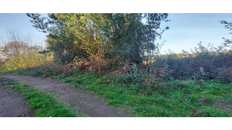 Terreno para Venda em Pedroso e Seixezelo Foto 10
