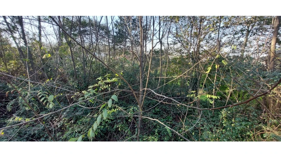 Terreno para Venda em Pedroso e Seixezelo Foto 12