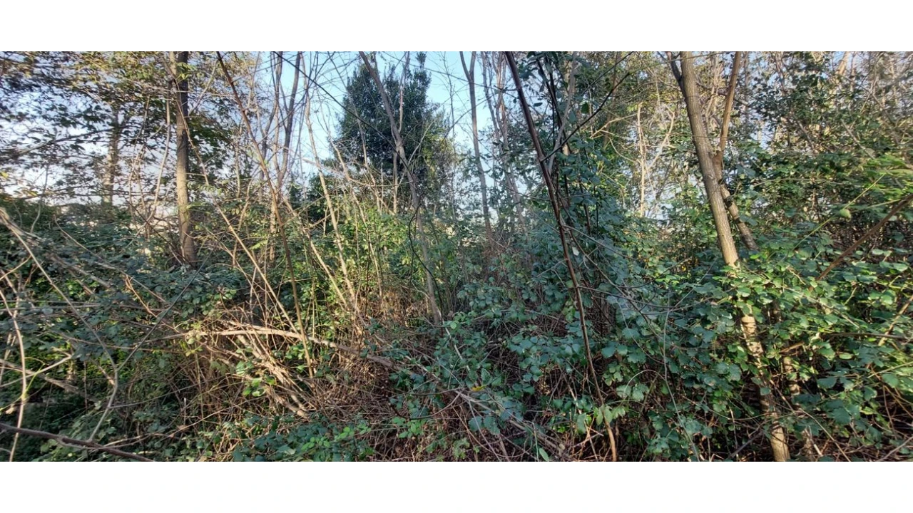 Terreno para Venda em Pedroso e Seixezelo Foto 14