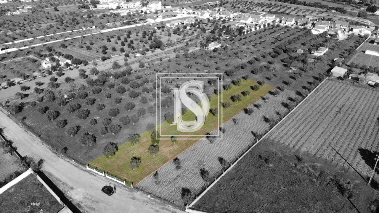 Terreno para Venda em Ponte de Sor, Tramaga e Vale de Açor Foto 7
