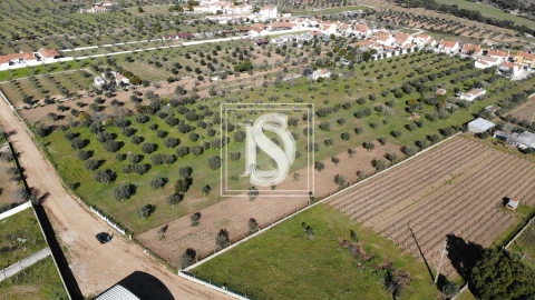 Terreno para Venda em Ponte de Sor, Tramaga e Vale de Açor