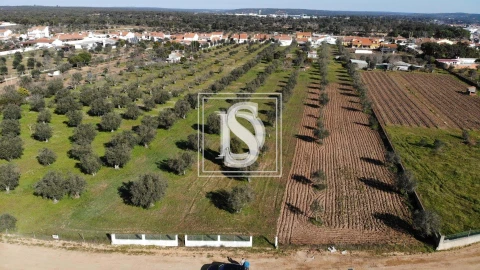 Terreno para Venda em Ponte de Sor, Tramaga e Vale de Açor