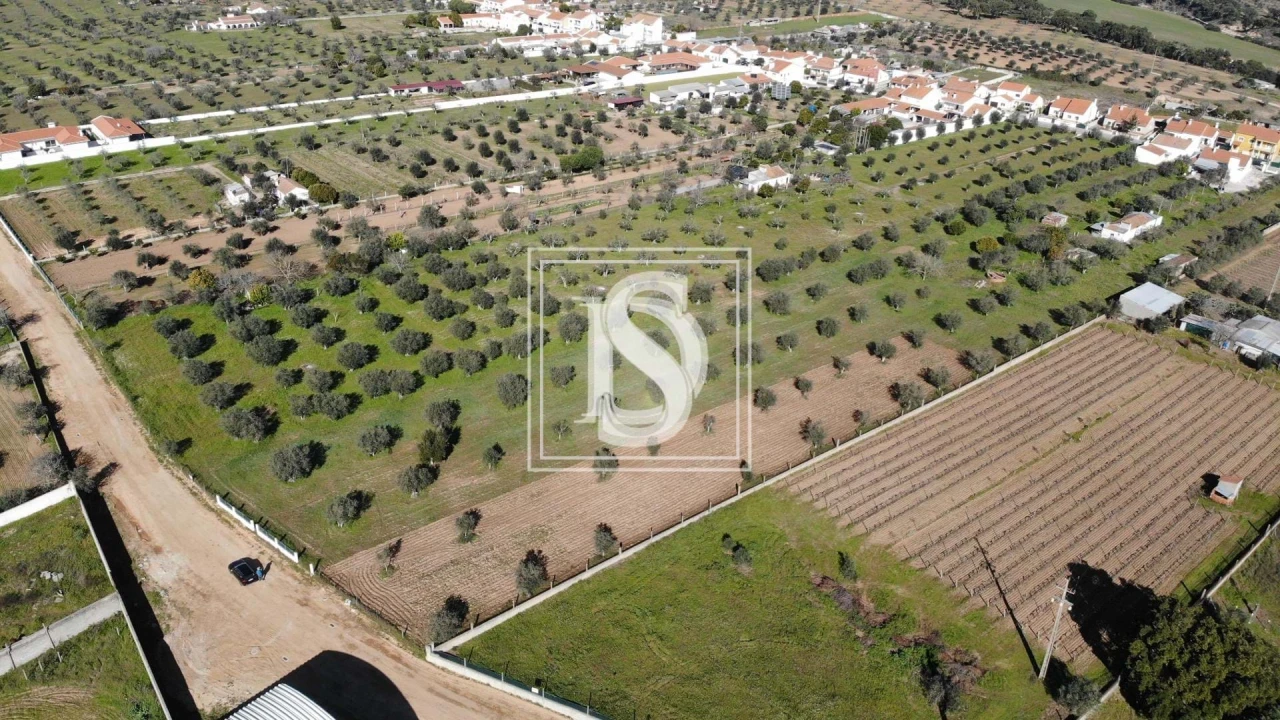 Terreno para Venda em Ponte de Sor, Tramaga e Vale de Açor Foto 4