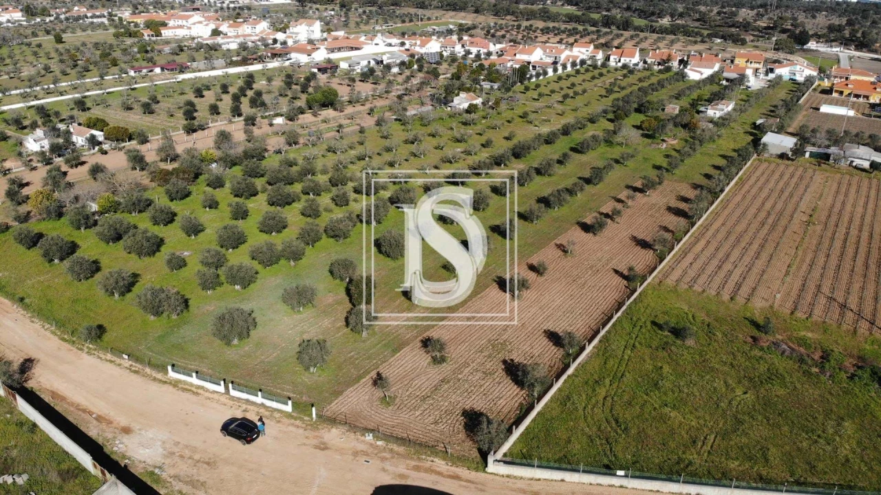 Terreno para Venda em Ponte de Sor, Tramaga e Vale de Açor Foto 3