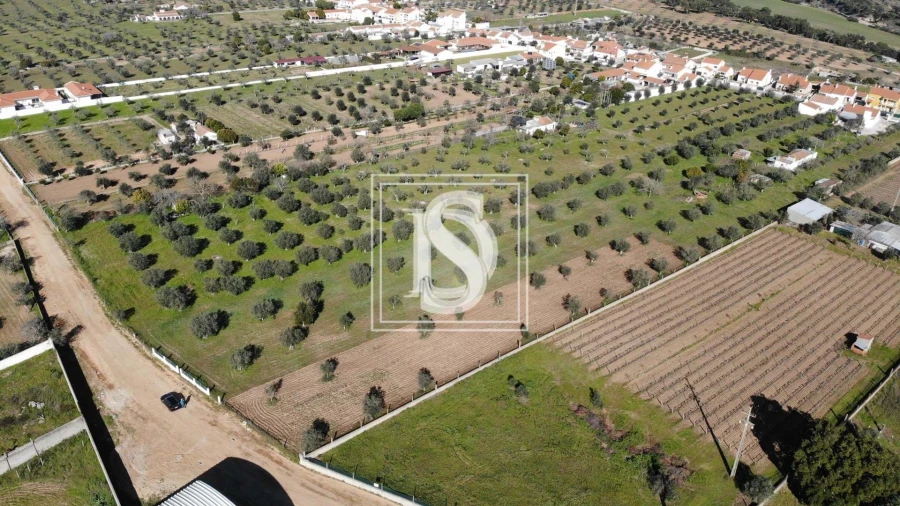 Terreno para Venda em Ponte de Sor, Tramaga e Vale de Açor Foto 4