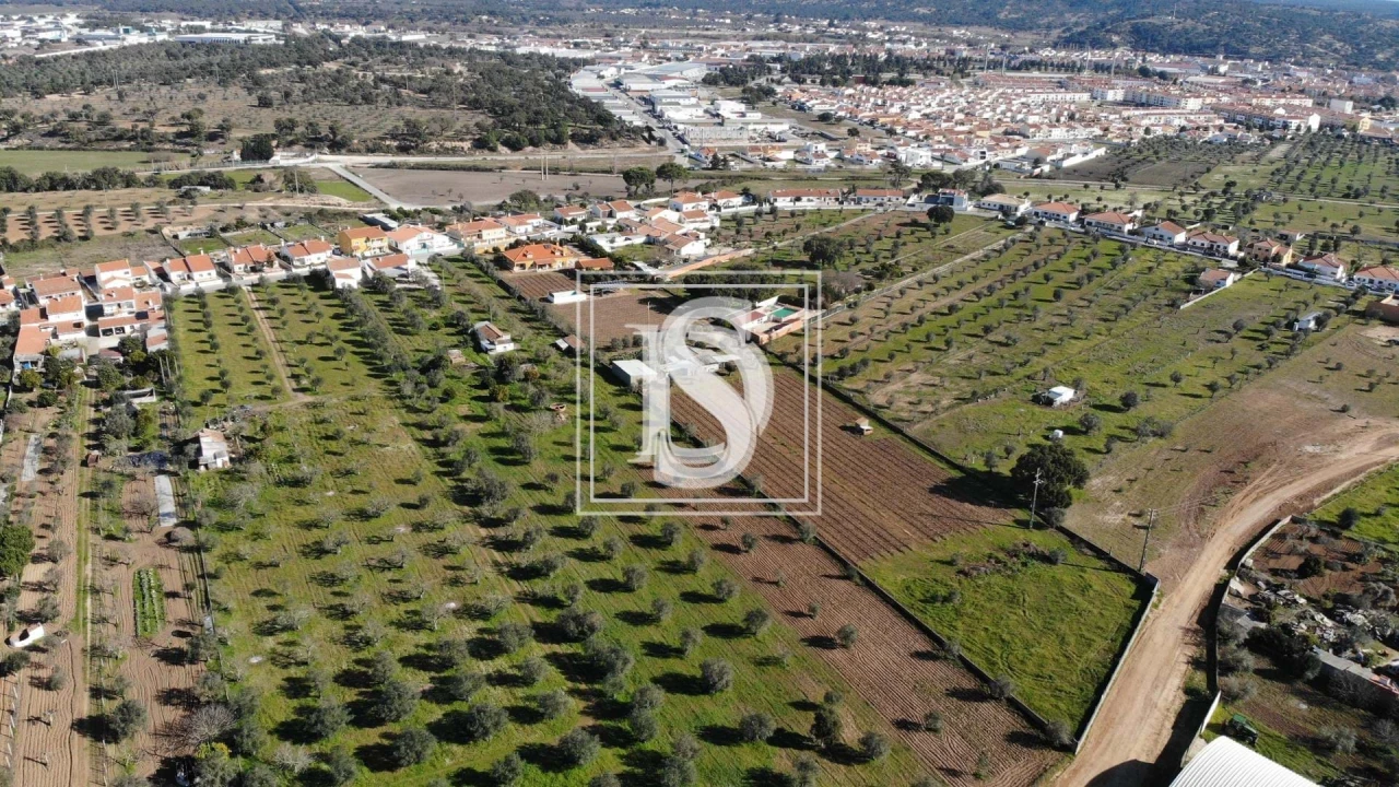 Terreno para Venda em Ponte de Sor, Tramaga e Vale de Açor Foto 5
