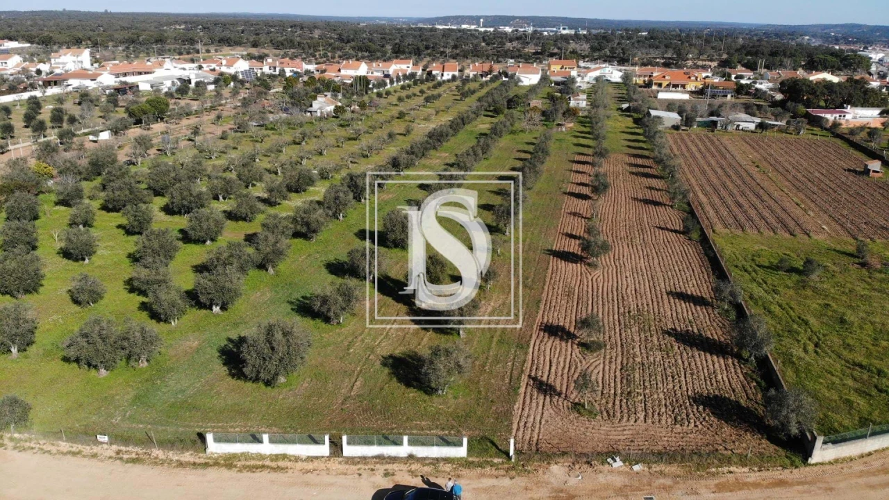 Terreno para Venda em Ponte de Sor, Tramaga e Vale de Açor Foto 1