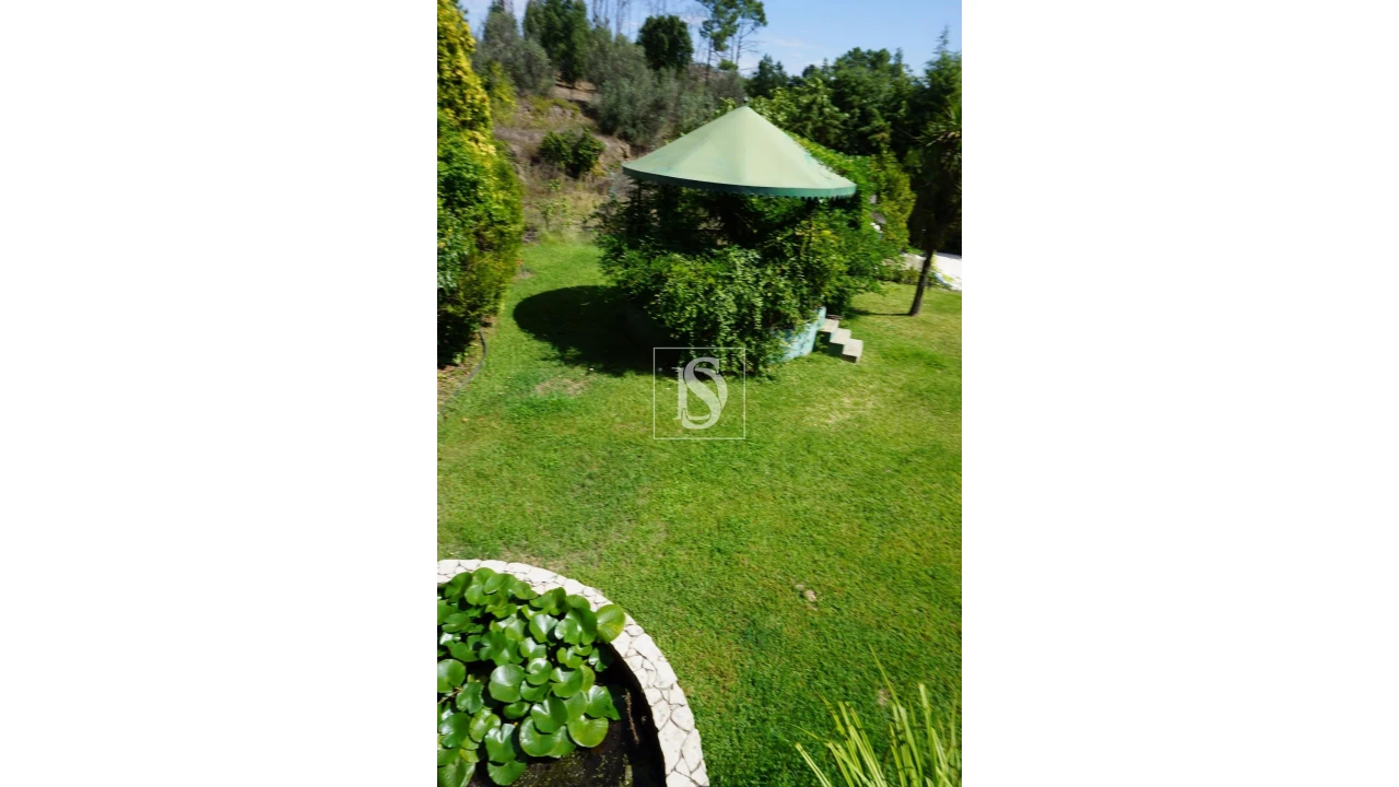 Quinta T6 para Venda em Sardoal Foto 12