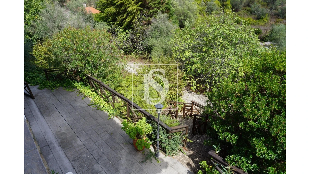 Quinta T6 para Venda em Sardoal Foto 32