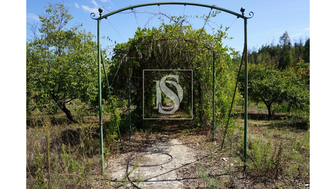 Quinta T6 para Venda em Sardoal Foto 38