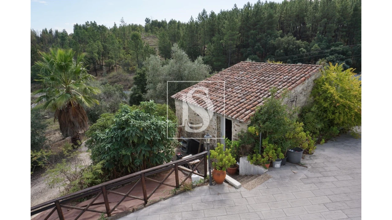 Quinta T6 para Venda em Sardoal Foto 31