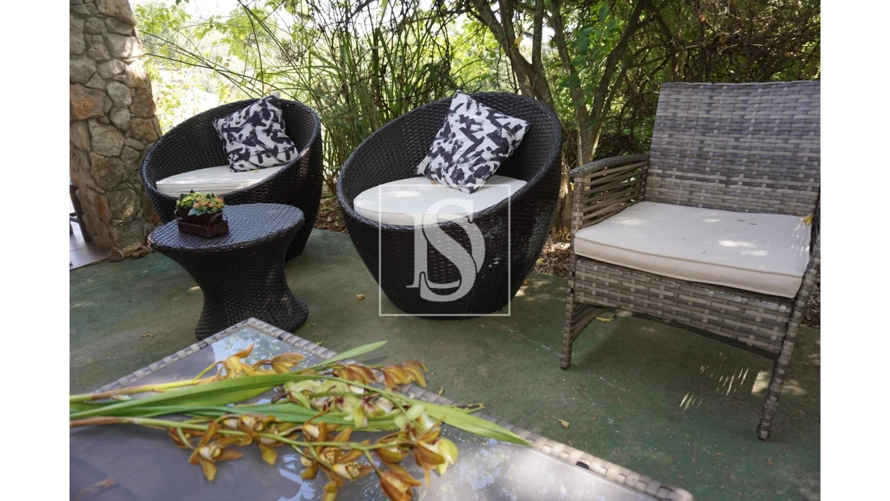 Quinta T6 para Venda em Sardoal Foto 10