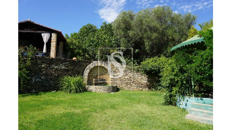 Quinta T6 para Venda em Sardoal Foto 35