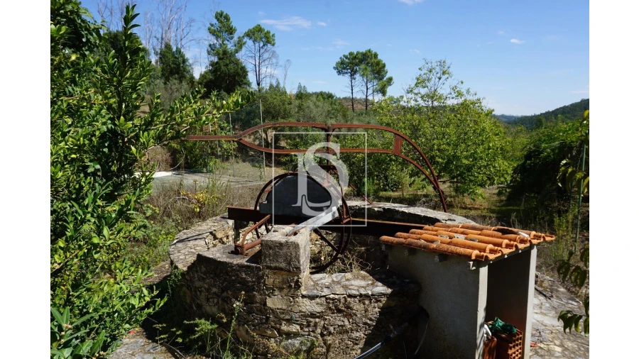 Quinta T6 para Venda em Sardoal Foto 37